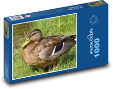 Duck - bird, animal Puzzle 1000 pieces - 60 x 46 cm 