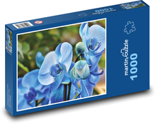 Modrá orchidej - květina, rostlina Puzzle 1000 dílků - 60 x 46 cm