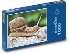 Hlemýžď - měkkýš, plazit se Puzzle 1000 - 60x46 cm