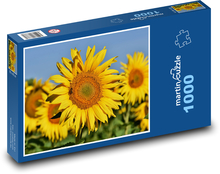 Slnečnicové pole - žlté kvety, leto Puzzle 1000 dielikov - 60 x 46 cm 
