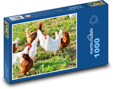 Huhn - Huhn, Geflügel Puzzle 1000 Teile - 60 x 46 cm