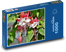 Fuchsia - Blume, Pflanze Puzzle 1000 Teile - 60 x 46 cm