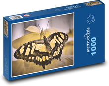 Motýl - exotický květ, hmyz Puzzle 1000 dílků - 60 x 46 cm