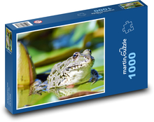 Frog - toad, amphibian Puzzle 1000 pieces - 60 x 46 cm 