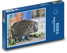 Ježek - divoké zvíře, savec Puzzle 1000 - 60x46 cm