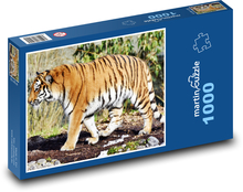 Tyger - velká kočka, dravec Puzzle 1000 dílků - 60 x 46 cm