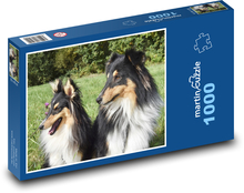 Shetland Shepherd - Hunde, Haustiere Puzzle 1000 Teile - 60 x 46 cm