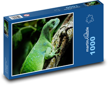 Iguana - jašterica, plaz Puzzle 1000 dielikov - 60 x 46 cm 