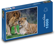 Lion and lioness - animals, Africa Puzzle 1000 pieces - 60 x 46 cm