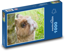 Dwarf rabbit - animal, mammal Puzzle 1000 pieces - 60 x 46 cm 