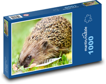 Ježko - zviera, jesť Puzzle 1000 dielikov - 60 x 46 cm 