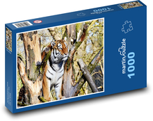Tiger - big cat, wild Puzzle 1000 pieces - 60 x 46 cm 