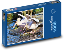 Pelikán - ružový vták, zobák Puzzle 1000 dielikov - 60 x 46 cm 