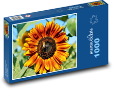 Slunečnice - květina, rostlina Puzzle 1000 dílků - 60 x 46 cm