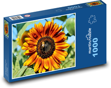 Słonecznik - kwiat, roślina Puzzle 1000 elementów - 60x46 cm