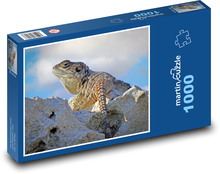 Agama - plaz, ještěrka Puzzle 1000 dílků - 60 x 46 cm