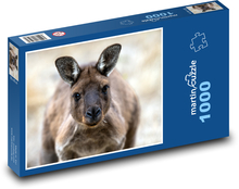 Klokan - zvíře, Austrálie Puzzle 1000 dílků - 60 x 46 cm