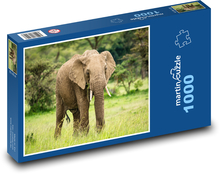 Afrikanischer Elefant - Tier, Savanne Puzzle 1000 Teile - 60 x 46 cm