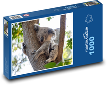 Koala - teddy bear, animal Puzzle 1000 pieces - 60 x 46 cm 