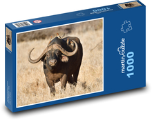 Buvol - divoké zvíře, savana Puzzle 1000 dílků - 60 x 46 cm