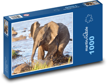 Słoń afrykański - słoń, dziecko Puzzle 1000 elementów - 60x46 cm
