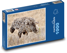 Female Somali ostrich - animal, bird Puzzle 1000 pieces - 60 x 46 cm