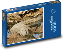 Krokodýl nilský - divoká zvěř, zvíře Puzzle 1000 dílků - 60 x 46 cm
