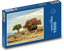 Kypr - krajina, stromy Puzzle 1000 dílků - 60 x 46 cm