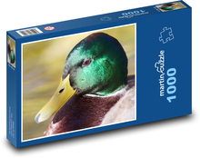 Dzika kaczka - kaczka, ptak wodny Puzzle 1000 elementów - 60x46 cm