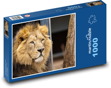 Löwe - Mähne, Tier Puzzle 1000 Teile - 60 x 46 cm