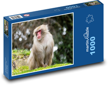 Monkey - mammal, zoo Puzzle 1000 pieces - 60 x 46 cm 
