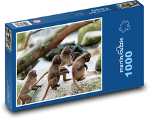 Opice - zvieratá, zoo Puzzle 1000 dielikov - 60 x 46 cm 