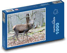 Deer - wildlife, forest Puzzle 1000 pieces - 60 x 46 cm 