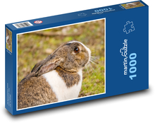 Rabbit - animal, mammal Puzzle 1000 pieces - 60 x 46 cm 