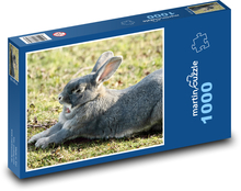 Králík - zvíře, jaro Puzzle 1000 dílků - 60 x 46 cm