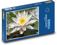Kvetoucí leknín - rostlina, voda Puzzle 1000 dílků - 60 x 46 cm