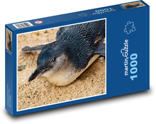 Penguin - bird, animal Puzzle 1000 pieces - 60 x 46 cm 