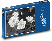Biele ruže - kvety, kvety Puzzle 1000 dielikov - 60 x 46 cm 