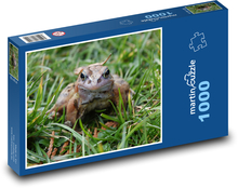 Žába - obojživelník, příroda  Puzzle 1000 dílků - 60 x 46 cm