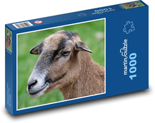 Kamerunské ovce - zviera, farma Puzzle 1000 dielikov - 60 x 46 cm 