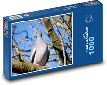 Gołębica - ptak, piórko Puzzle 1000 elementów - 60x46 cm