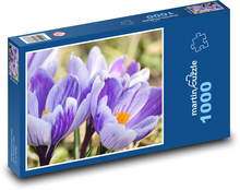 Krokusy - květ, jaro Puzzle 1000 dílků - 60 x 46 cm