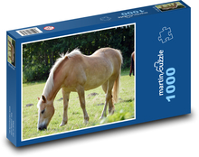 Kôň - pasienok, zviera Puzzle 1000 dielikov - 60 x 46 cm
