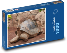 Korytnačka - plaz, zviera Puzzle 1000 dielikov - 60 x 46 cm 