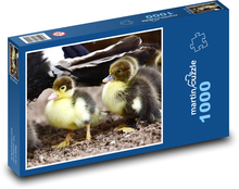 Divoké kachny - mláďata, ptactvo Puzzle 1000 dílků - 60 x 46 cm