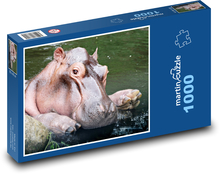 Hroch vo vode - zviera, cicavec Puzzle 1000 dielikov - 60 x 46 cm 