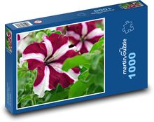 Petunia - kvety, záhrada Puzzle 1000 dielikov - 60 x 46 cm 