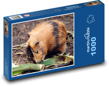 Meerschweinchen - Tier, Säugetier Puzzle 1000 Teile - 60 x 46 cm