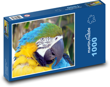 Parrot - bird, feather Puzzle 1000 pieces - 60 x 46 cm 