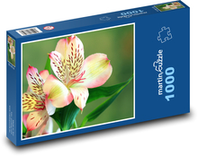 Kvet ľalie - rastlina, kvet Puzzle 1000 dielikov - 60 x 46 cm 